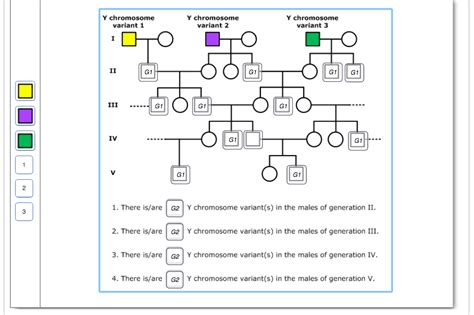 Solved The Pedigree From Part A Is Shown Below Three Y