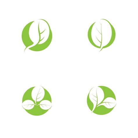 Premium Vector Moringa Leaf Nature Icon Vector Illustration Template Design