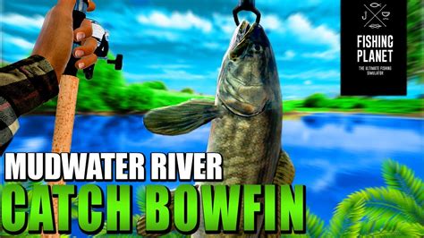 Fishing Planet Bowfin Beginners Hotspot Guide Mudwater River