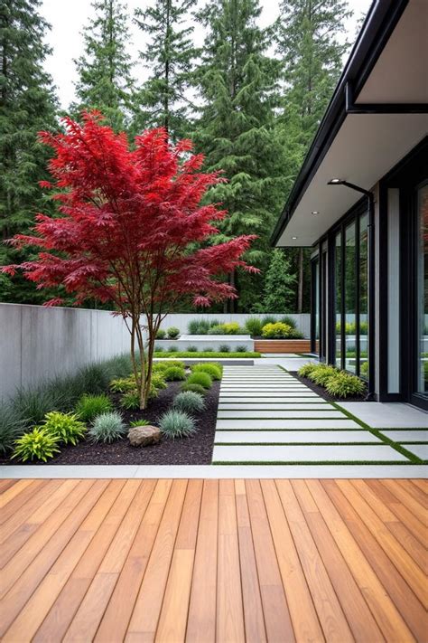 22 Japanese Maple Tree Landscape Designs to Leaf You Inspired