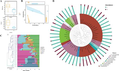 Analysis Of Intestinal Microbial Diversity And The Genus Level