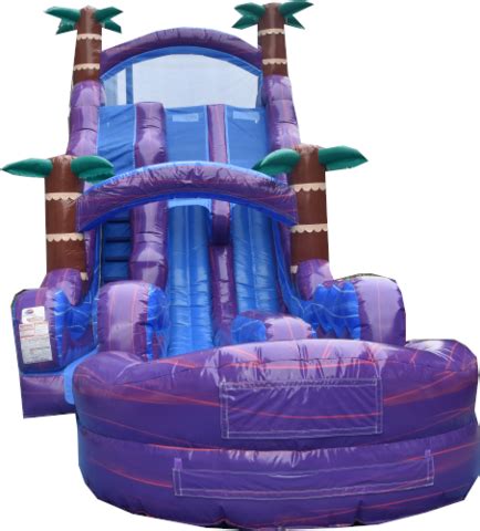 Purple Crush Dual Lane Water Slide Spring Party Rentals Tomball Texas