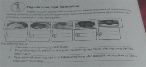 Pag Alam Sa Mga Natutuhan Panuto Kilalanin Ang Mga Lider Na Nasa