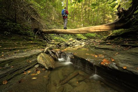 In one of many gorges in Ithaca, NY : r/hiking