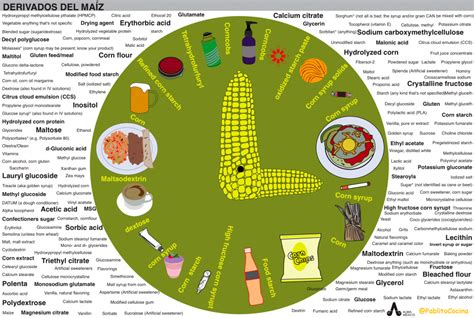 Estás Seguro De Lo Que Comes ~ Alimentaciónconsciente ~