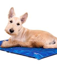 TrendPet Arctic Comfort - 20mm Premium Kühlmatte für Hunde ...