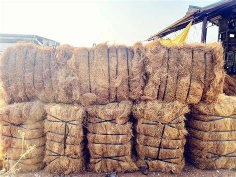 Brown Coconut Coir Fiber Packaging Type Bale Packaging Size Kg