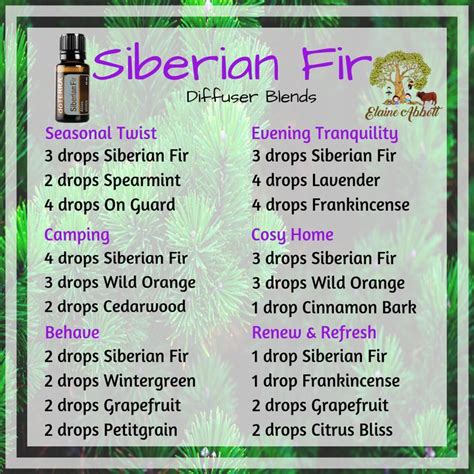 Siberian Fir Diffuser Blends Essential Oil Blends Diffuser Blends