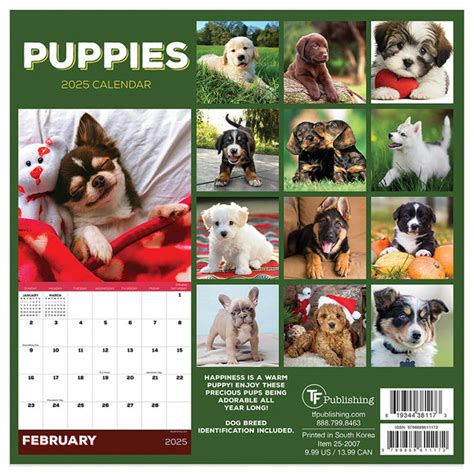 final sale  puppies mini calendar tf publishing calendars planners journals