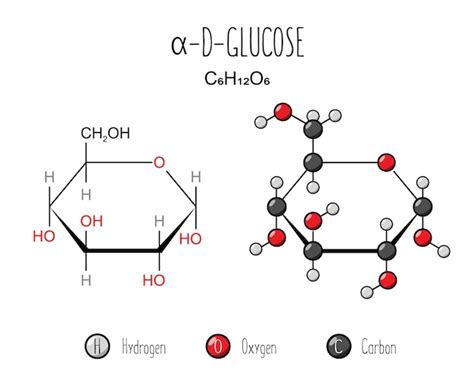 Representación de glucosa alfa fórmula esquelética e ilustración de