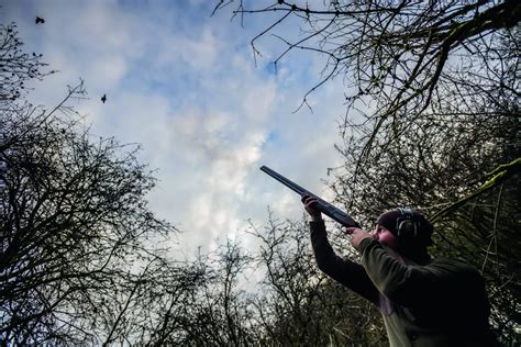 Winter Pigeon Shooting Tactics For Success ShootingUK ShootingUK