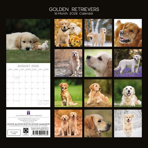 Just Chesapeake Bay Retrievers 2020 Wall Calendar 1