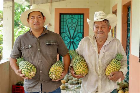 Llevarán a cabo el festival de la piña en Santa María Ostuma La Paz