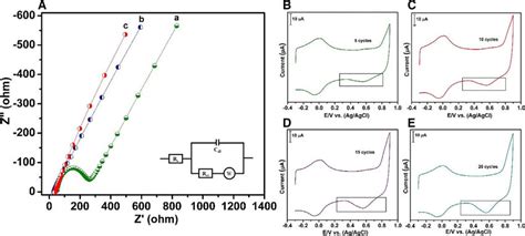 A Eis Curve Of Bare A Gce B F Cnfgce And C F Cnfaugce In 5 Download Scientific