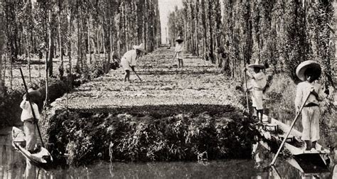 The History Of Chinampas, The ‘Floating Gardens’ Of Mexico