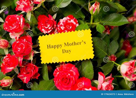 Close Up Of Greeting Card With Text Happy Mothers Day And Beautiful