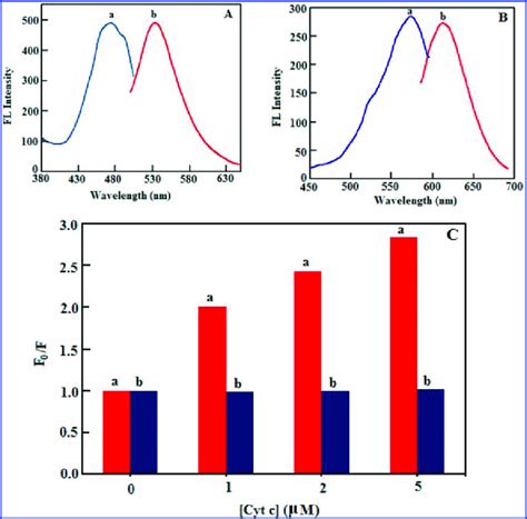 A A Excitation λ Ex 470 Nm And B Emission λ Em 530 Nm