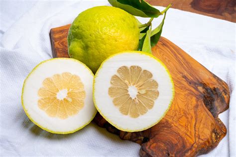 Citron: More Than Just A Big Lemon | Exotic Gourmand