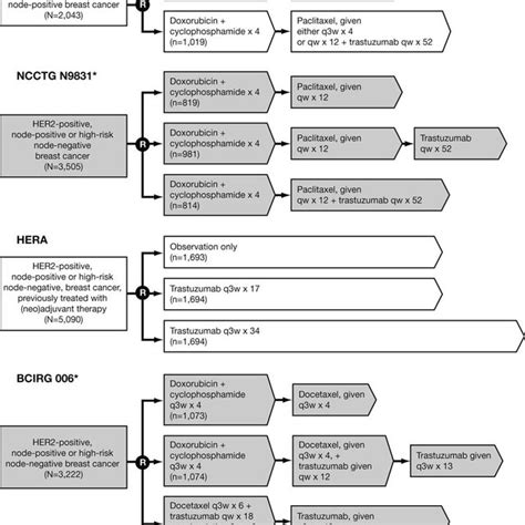 Calgb 40601 Neoadjuvant Trial Schema R Randomization Q3w Every 3