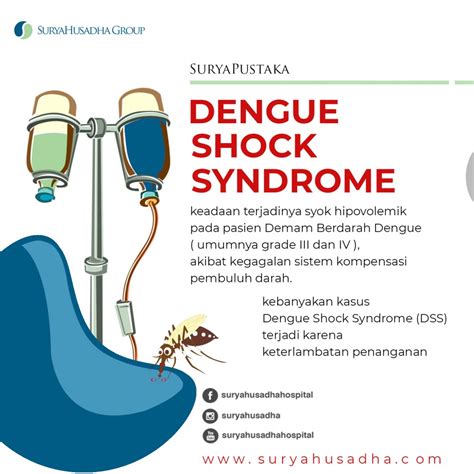 Dengue Shock Syndrome