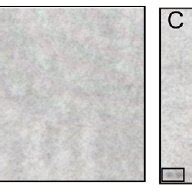 Phosphorylation Assays On The EBV Plus LANA Protein Array A Protein