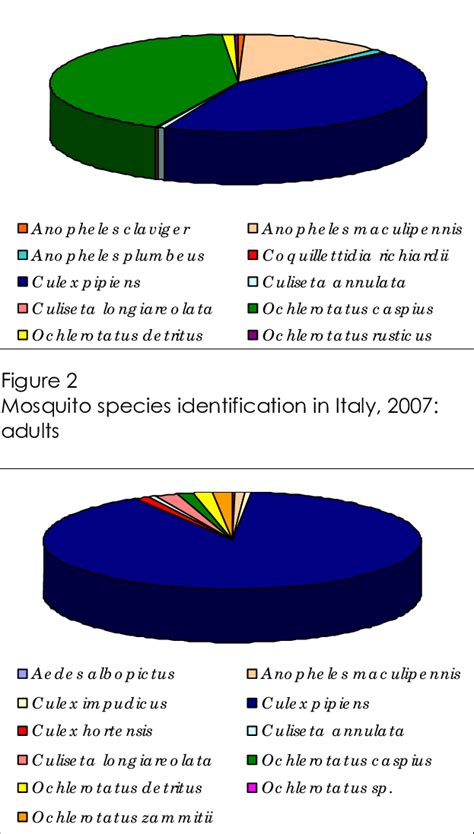 Mosquito species identification in Italy, 2007: larvae | Download ...