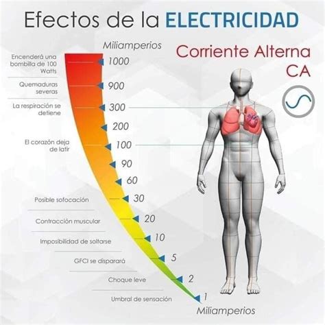 Efectos De La Electricidad En El Cuerpo