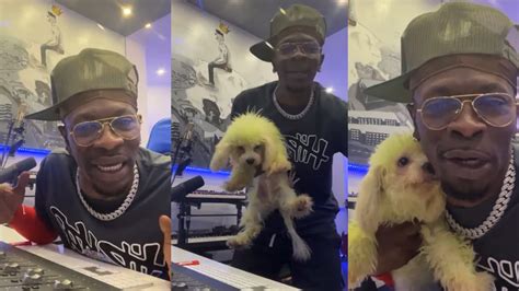 Shatta Wale Reward Richard Ofori Dede Ayew And Inaki Williams With Pet