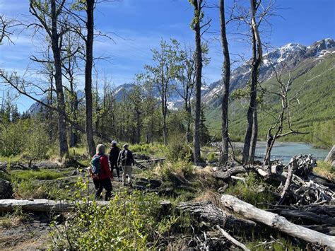 Anchorage Day Tour | Guided Hiking in Chugach State Park