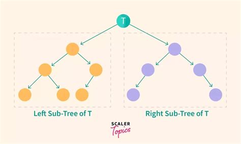 Binary Search Tree Bst Scaler Topics