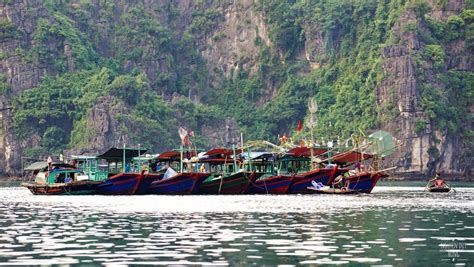 Ninh Binh Tour Hoa Lu And Tam Coc Day Tour From Hanoi Vietnam