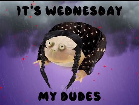 Its Wednesday My Dudes Rsipstea