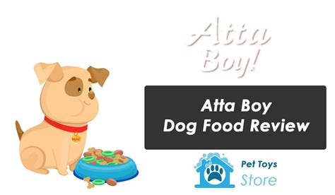 Atta Boy Dog Food Review - Best Reviews 2024