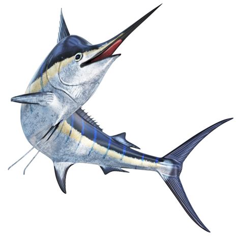 Marlin Fish - 3D Model for VRay