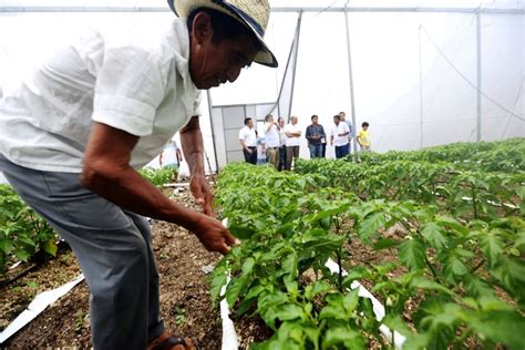 Sector Agropecuario Y Pesquero Crece Al Doble De La Econom A Nacional