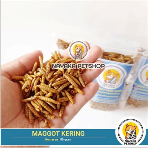 Jual Maggot Kering Gr Mealworm Pakan Hamster Makanan Sugar Glider