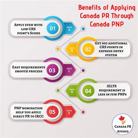 How To Apply For Canadian Citizenship After Pr