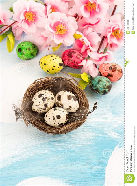 Easter Decoration With Flowers And Quail Eggs Stock Photo Image Of