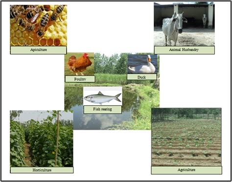 Integrated Farming System in Watershed Management – IFS – watershedpedia