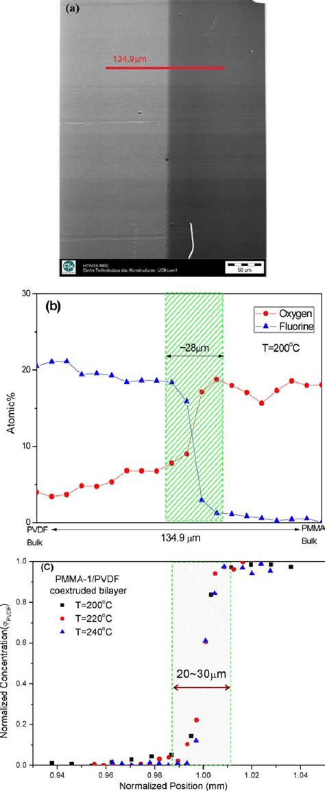 A Sem Micrograph On The Interfacial Region For Pmma Pvdf Bilayer