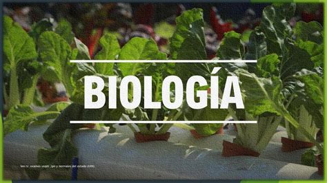 Curso Completo Biología Unam Udocz