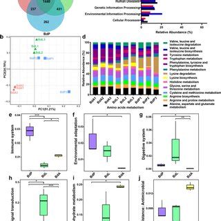 Metagenomic data analysis (only bacteria). a Venn diagram of the... | Download Scientific Diagram