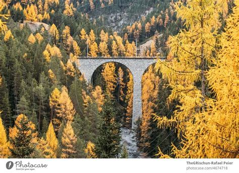 Eisenbahnbrücke im Wald ein lizenzfreies Stock Foto von Photocase