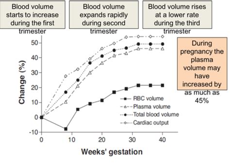 Physiological Adaptations In Pregnancy Flashcards Quizlet