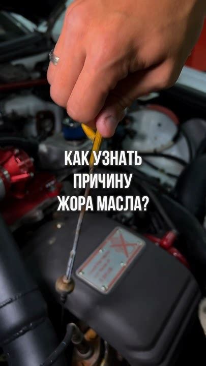 Узнай сам причину жора масла #моторноемасло #двигатель - YouTube