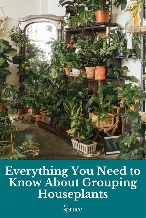 Everything You Need To Know About Grouping Houseplants Artofit