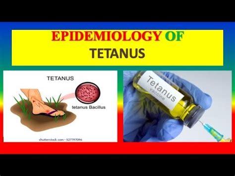 Epidemiology Of Tetanus Definition Cause Transmission