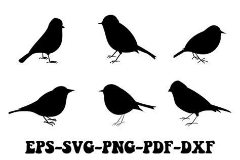 Birds Silhouette Collection Svg, Birds Silhouette Clipart, Birds Svg, Silhouette of Birds Png ...