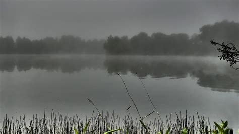 Estado Animico Niebla Temprana Foto Gratis En Pixabay Pixabay