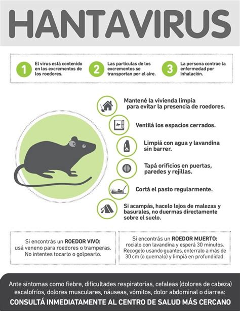 Hantavirus La Importancia De La Prevenci N Radio Sobre Nivel